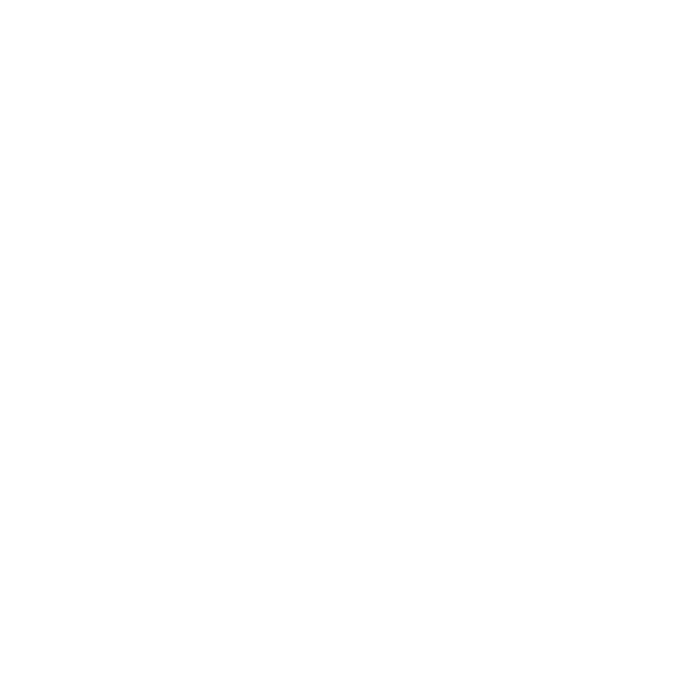 EthixCompass X profile